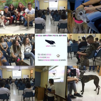 galgos